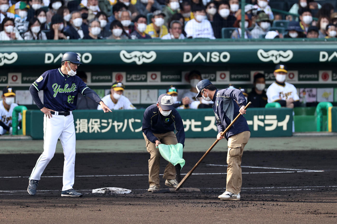 阪神対ヤクルト　6回表ヤクルト無死一塁、佐藤コーチ（左）の指示した場所へグラウンドに土を入れる阪神園芸の職員たち（撮影・加藤哉）