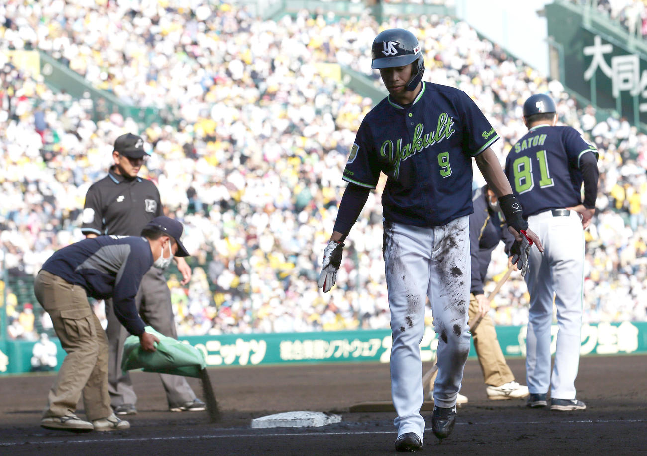 阪神対ヤクルト　6回表ヤクルト無死一塁、一走塩見（手前）は一塁ベース付近のぬかるみをアピールし、一時中断となる（撮影・上山淳一）