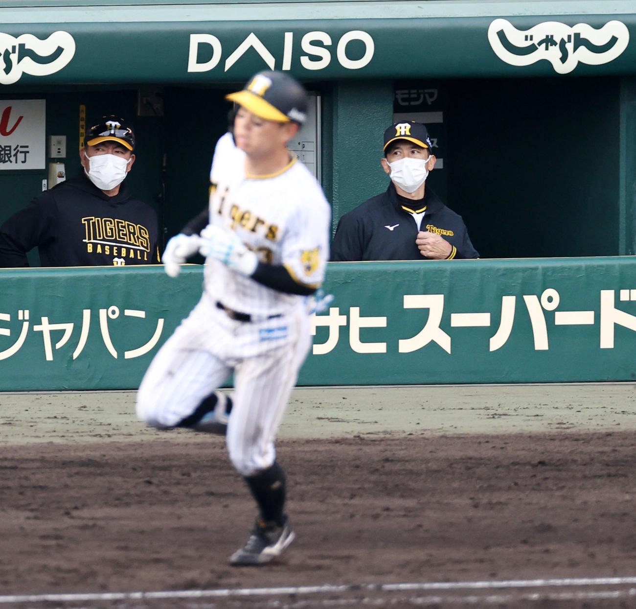 阪神対ヤクルト　9回裏阪神2死、矢野監督は最後の打者となった糸原の右飛をベンチから見つめる（撮影・加藤哉）
