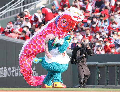 広島対巨人 試合後、立派なこいのぼりを掲げるスラィリー(撮影・狩俣裕三)