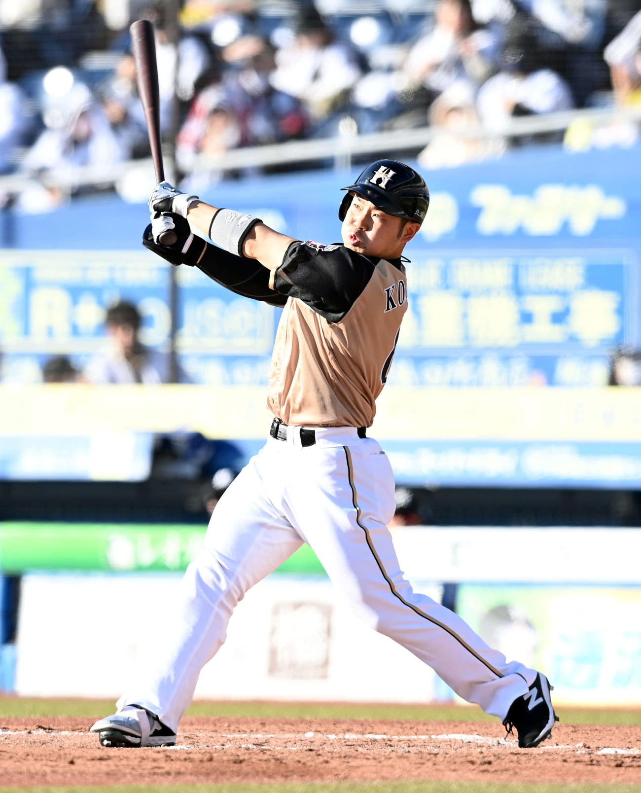 日本ハム近藤健介（2021年10月30日撮影）