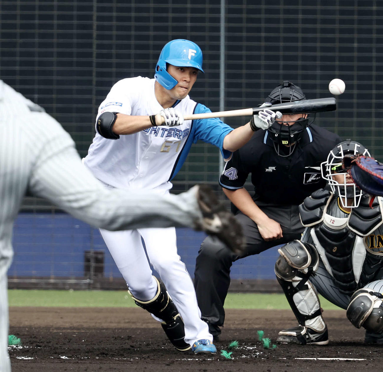 日本ハム片岡奨人（22年2月撮影）