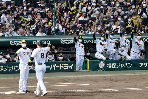 阪神】今季初サヨナラ勝ち！9回裏山本泰寛押し出し選んだ 満員甲子園