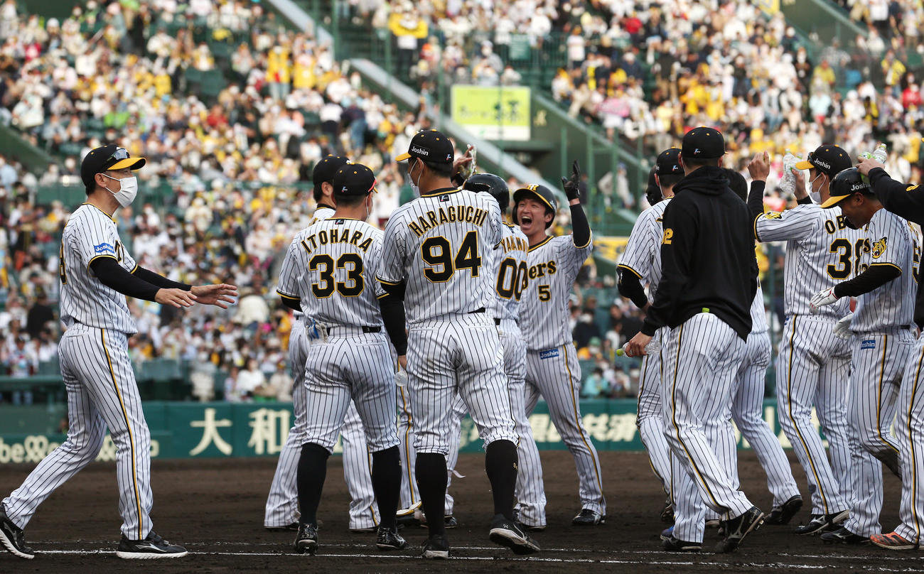 阪神対ヤクルト　9回裏阪神2死満塁、山本がサヨナラ四球を選び歓喜する阪神ナイン（撮影・上山淳一）