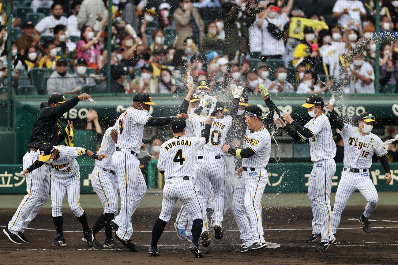 阪神対ヤクルト　9回裏阪神2死満塁、山本の押し出し四球でサヨナラ勝ちとなり歓喜の輪を作るナインたち（撮影・加藤哉）