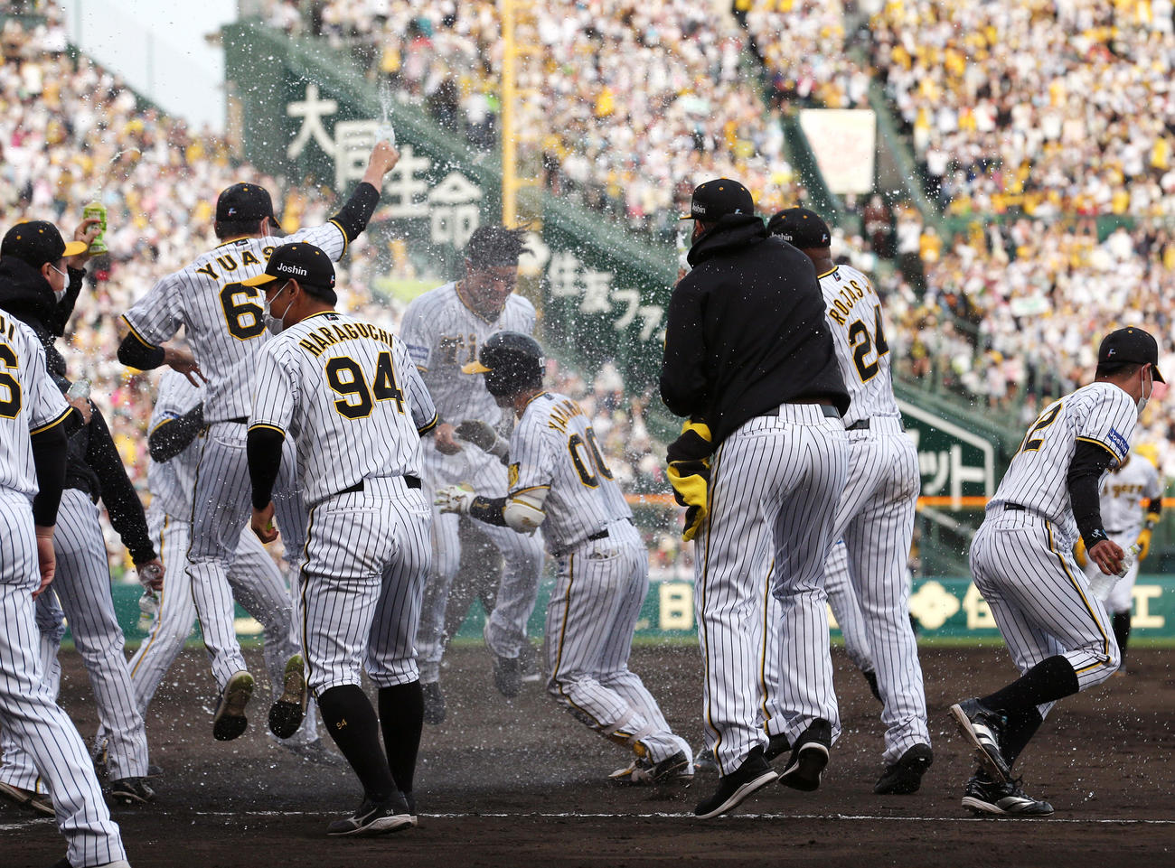 阪神対ヤクルト　9回裏阪神2死満塁、山本がサヨナラ四球を選び歓喜する阪神ナイン（撮影・上山淳一）