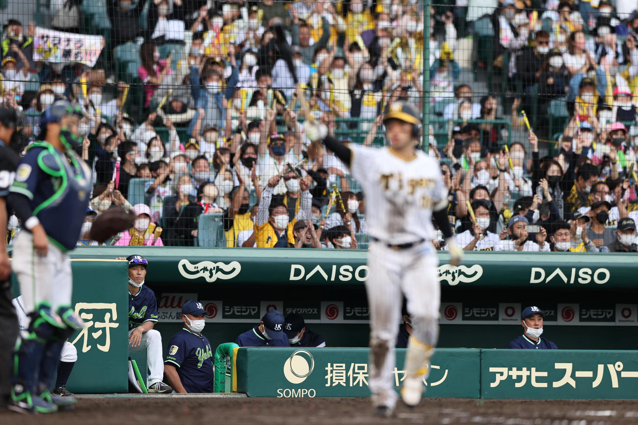 阪神対ヤクルト　9回裏阪神2死満塁、ヤクルト高津監督（左から3人目）は山本のサヨナラ四球で敗れガックリする（撮影・上山淳一）