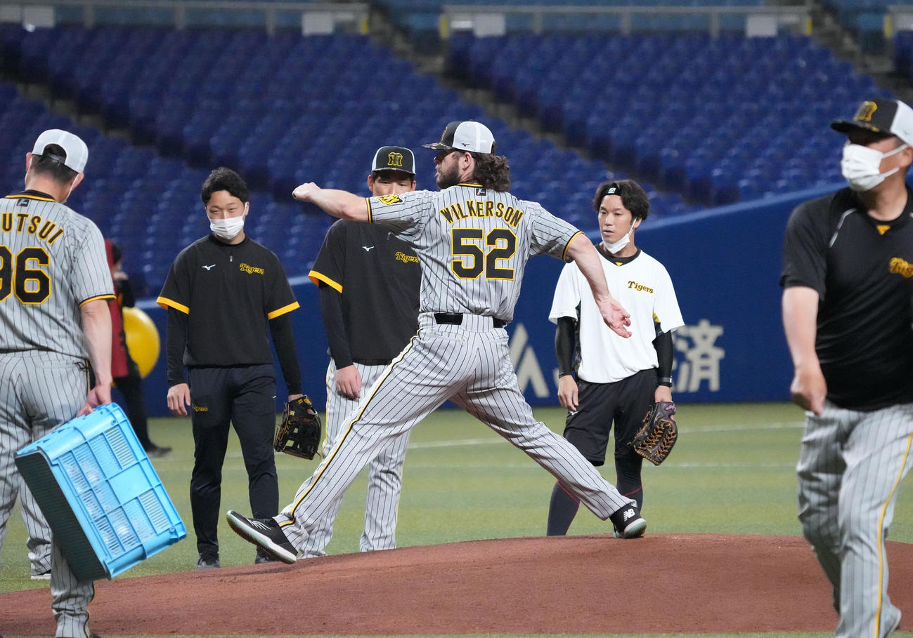 中日対阪神　試合前、マウンドの状態を確かめるウィルカーソン（撮影・森本幸一）