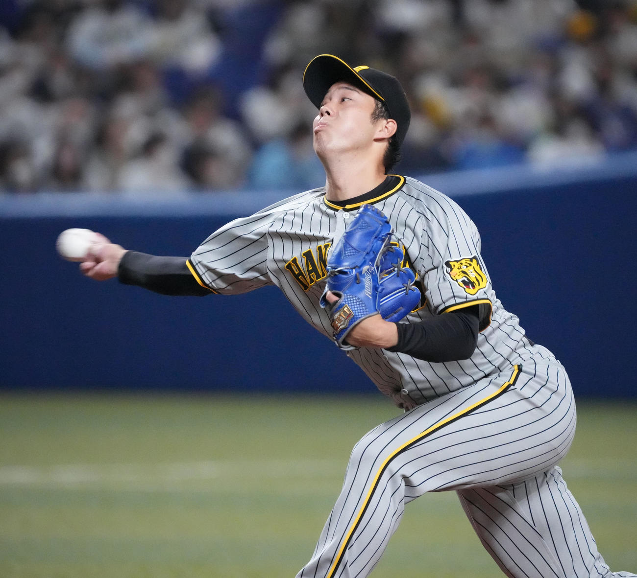 中日対阪神　力投する阪神先発の青柳（撮影・森本幸一）