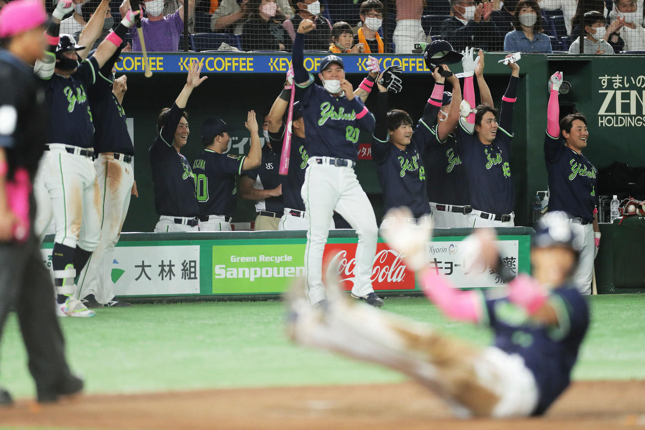 巨人対ヤクルト　9回表ヤクルト1死一、二塁、山崎の左越え逆転2点適時二塁打で盛り上がるヤクルトベンチ（撮影・河田真司）