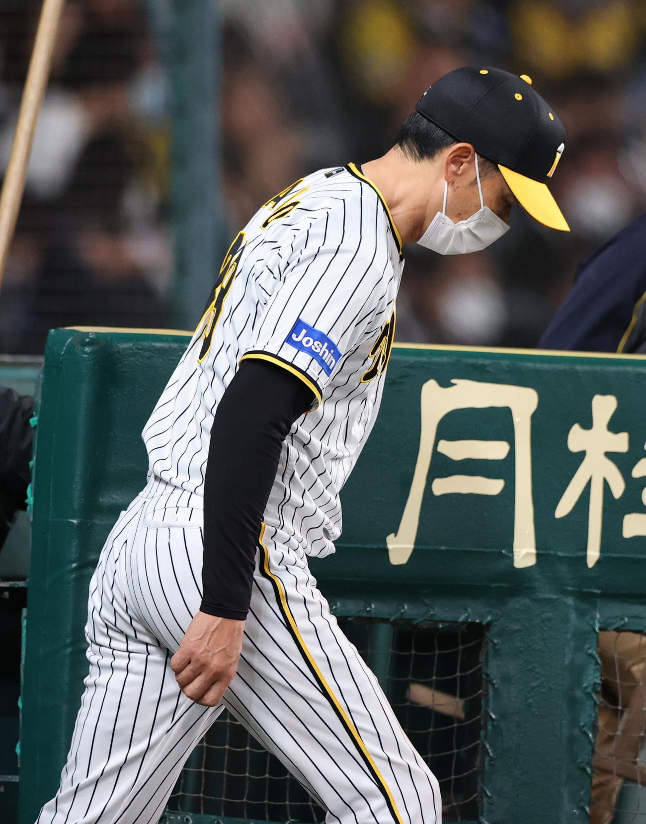 阪神対広島　7回終了後、阪神矢野監督は選手交代でグラウンドへ出る（撮影・上山淳一）