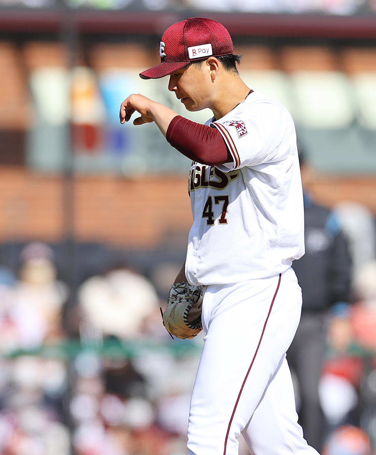 楽天対ロッテ　4回表の登板を終え3失点の楽天藤井はうつむきながら汗をぬぐう（撮影・垰建太）