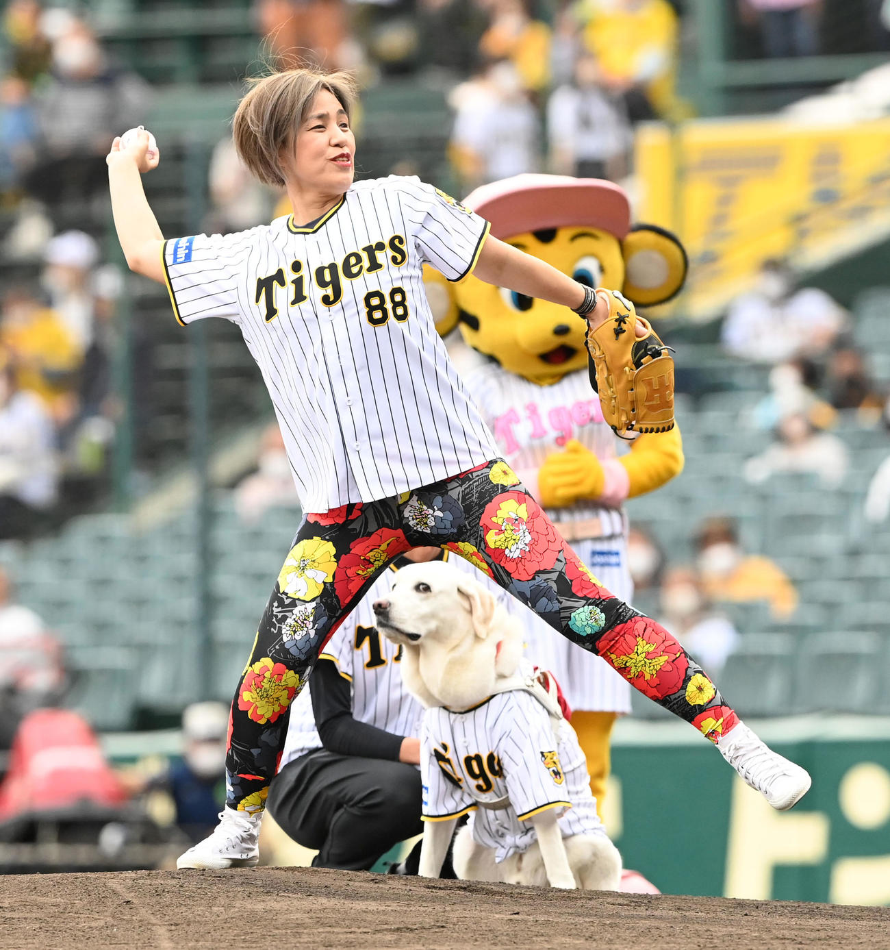 阪神対広島　ファーストピッチセレモニーを行った浅井純子さんと盲導犬ヴィヴィッド（撮影・前岡正明）