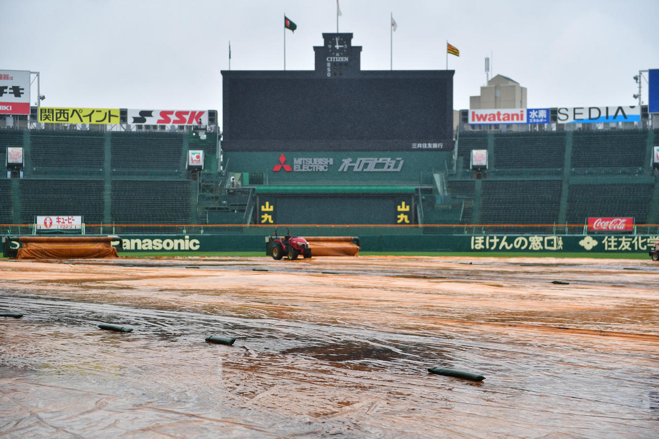 甲子園での試合はグラウンドにシートがかけられるも天候不良で中止となる（撮影・前岡正明）
