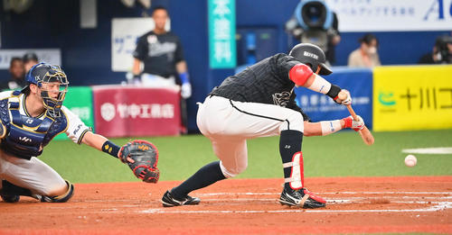 オリックス対ロッテ 8回表ロッテ1死三塁、スクイズを決める佐藤(撮影・和賀正仁)