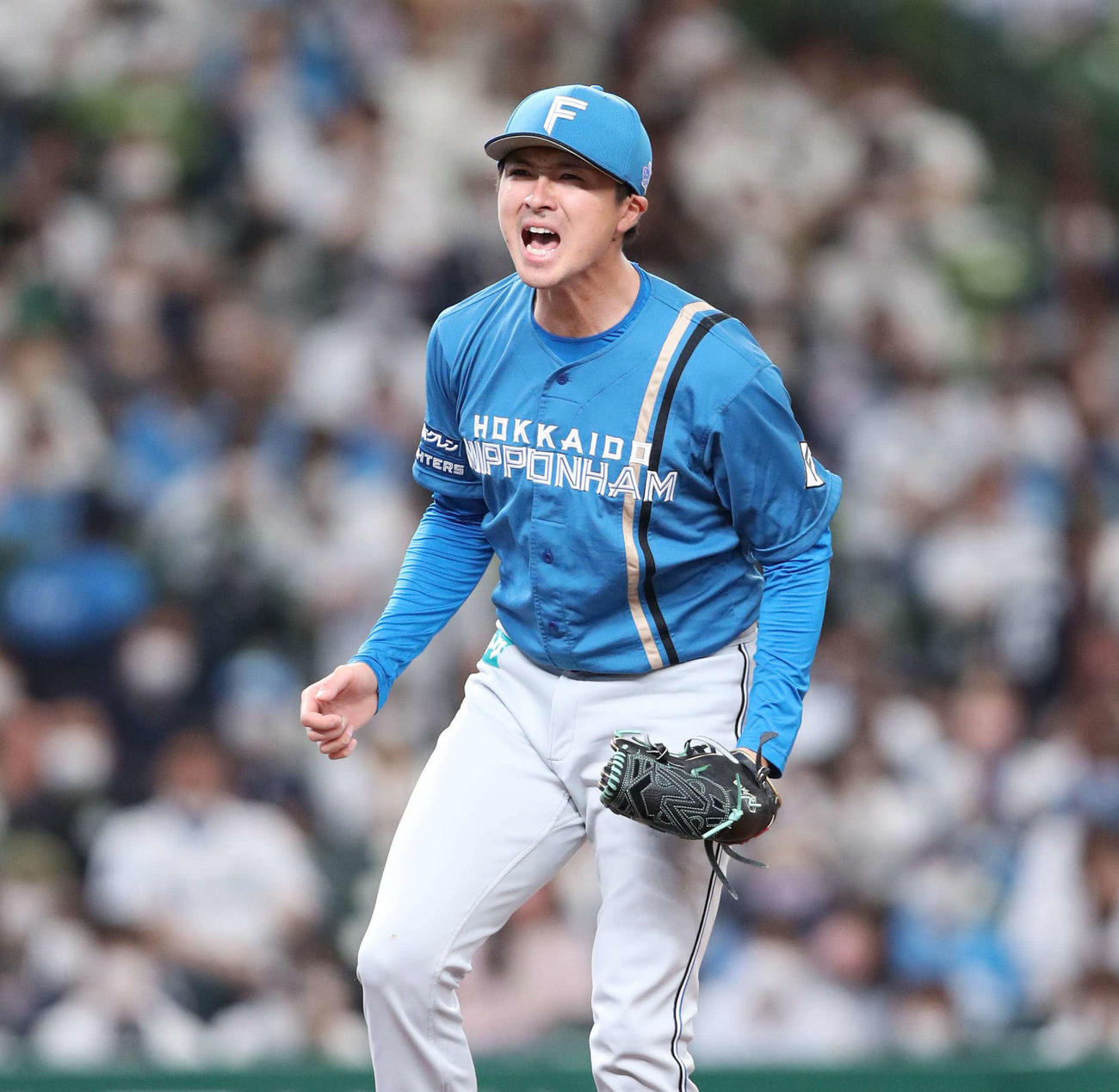 日本ハム上沢直之（2022年5月7日撮影）