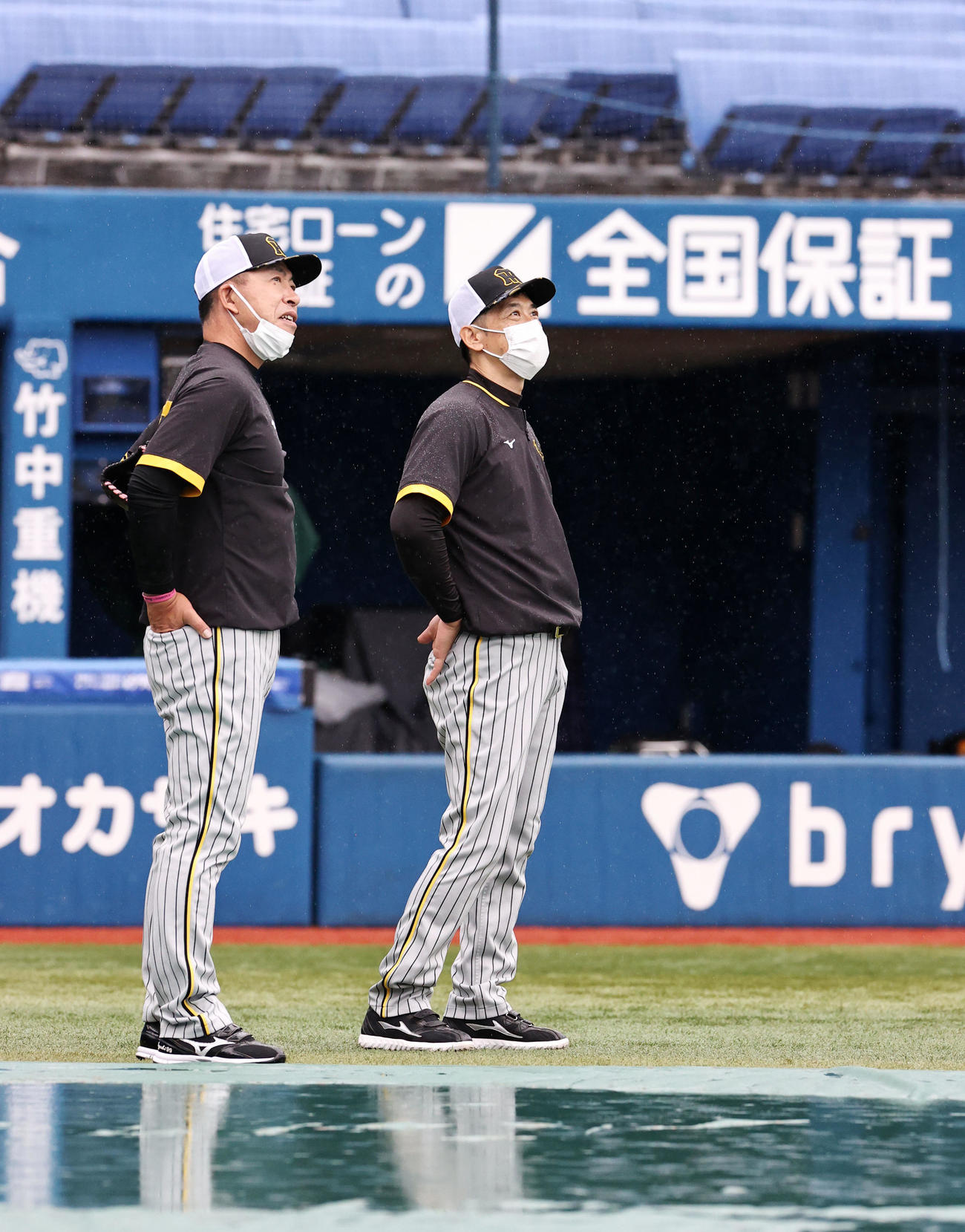 DeNA対阪神　雨の中、練習を見守る井上ヘッドコーチ（左）と矢野監督（撮影・加藤哉）