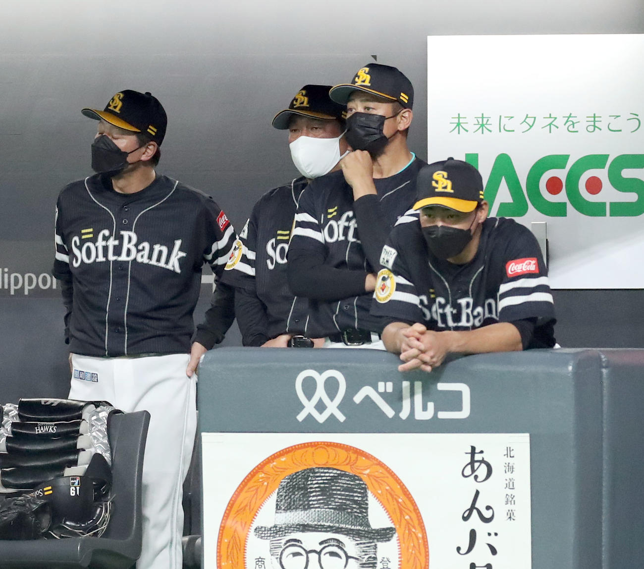 日本ハム対ソフトバンク　ベンチからグラウンドを見つめるソフトバンク藤本監督（左から2人目）（撮影・佐藤翔太）
