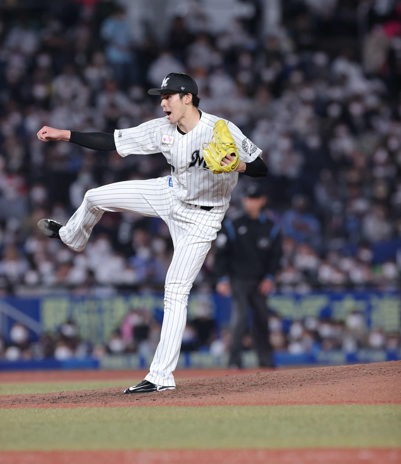 ロッテ佐々木朗希（2022年5月6日撮影）