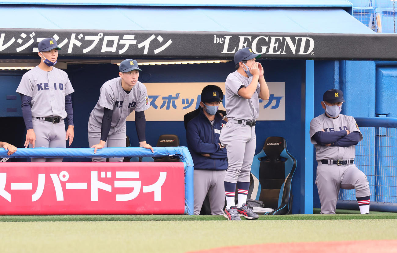 慶大対明大　5回裏明大に大量リードを許し厳しい表情を見せる慶大の堀井監督（右端）ら（撮影・足立雅史）