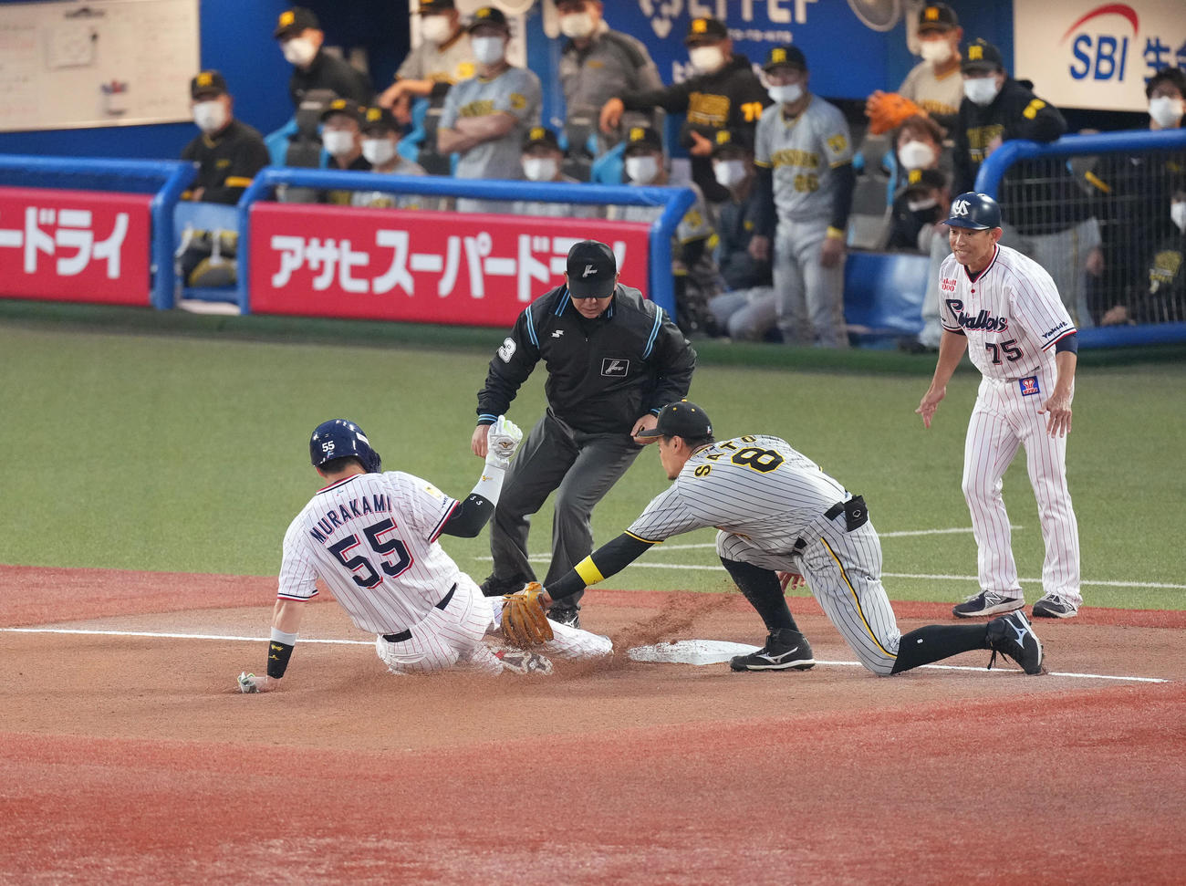 ヤクルト対阪神　2回裏ヤクルト無死一塁、中村の左前打で三塁を狙うもアウトとなる一塁走者村上。右は三塁手佐藤輝（撮影・菅敏）