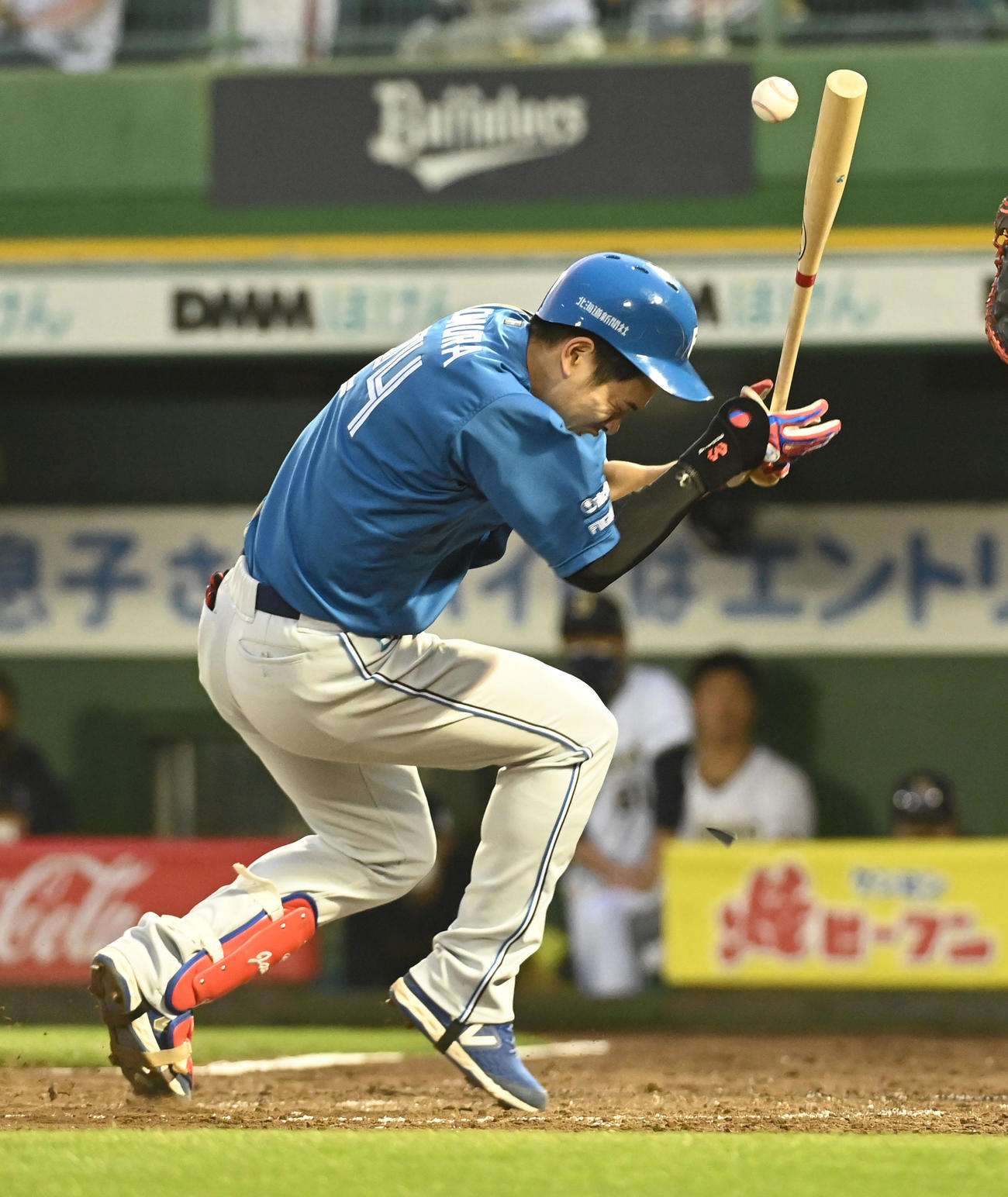 オリックス対日本ハム　4回表日本ハム1死二塁、野村は頭部に死球を受ける（撮影・前岡正明）