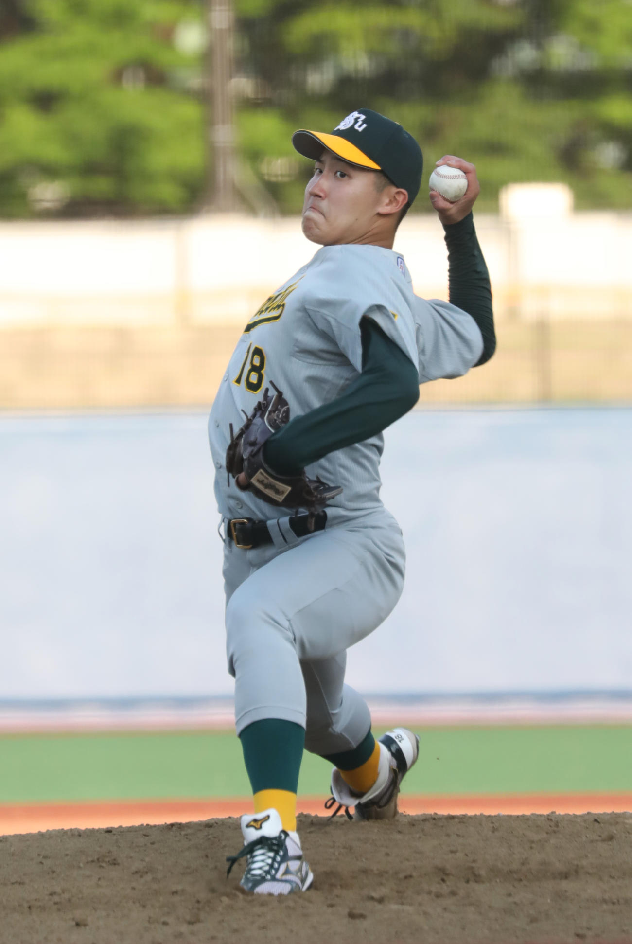 専大対国士舘大　力投する専大・菊地（撮影・青山麻美）