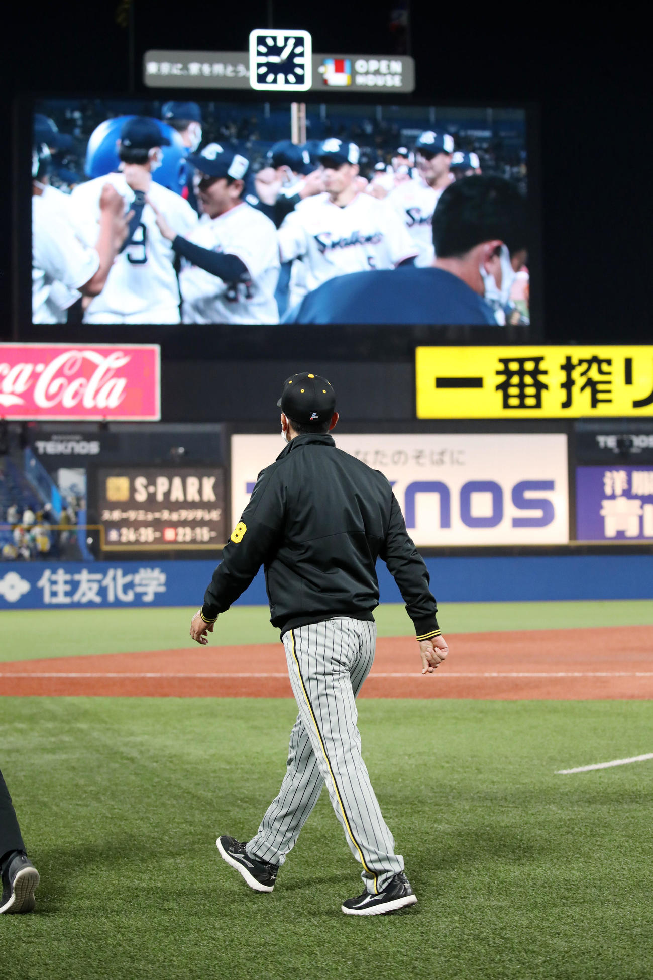 ヤクルト対阪神　大型モニターに映るヤクルトナインを見つめながら引き揚げる矢野監督（撮影・加藤哉）