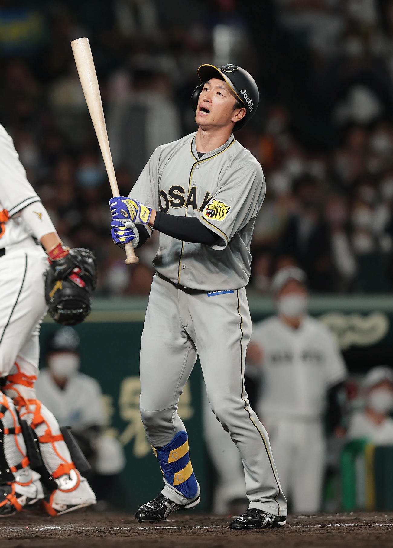 阪神対巨人　6回裏阪神1死一塁、空振り三振に倒れる近本（撮影・前田充）