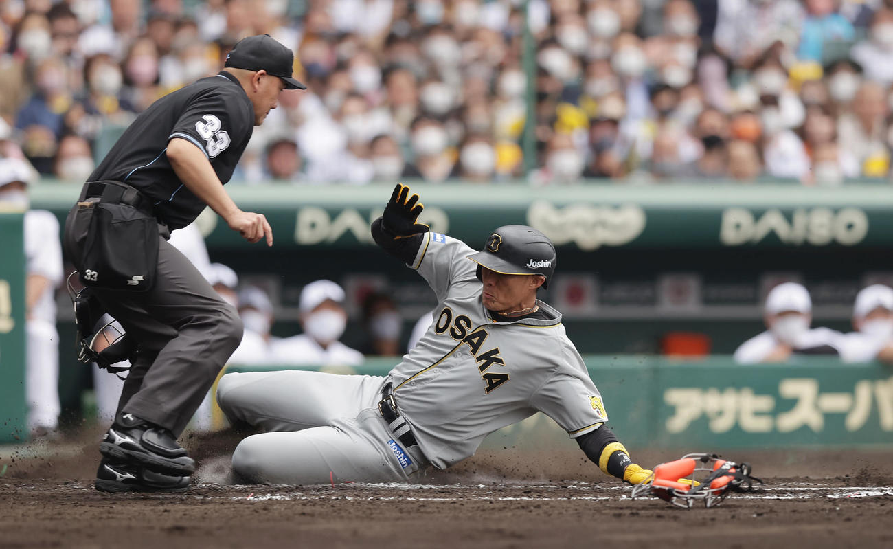 阪神対巨人　2回裏阪神無死一、三塁、長坂のスクイズで生還する三走糸井（撮影・前田充）