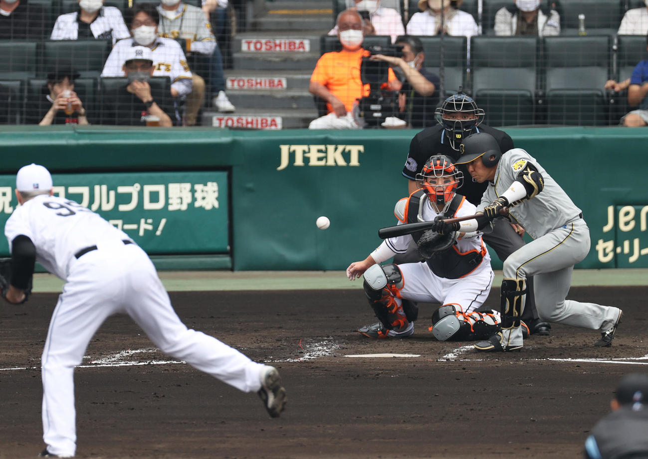 阪神対巨人　2回裏阪神無死一、三塁、長坂はセーフティースクイズを決める（撮影・上山淳一）