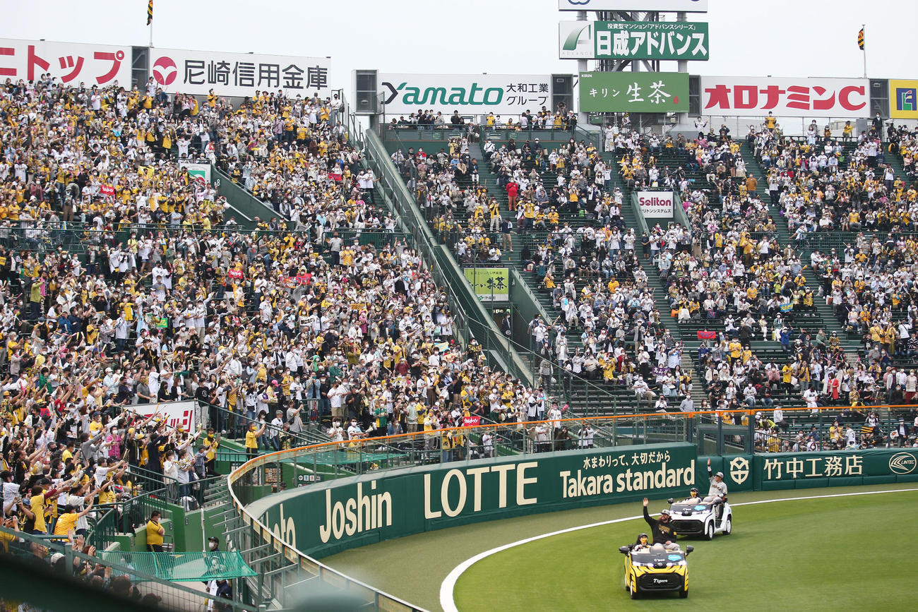 阪神対巨人　ヒーローのウィルカーソンと長坂に大歓声を送る阪神ファン（撮影・上山淳一）