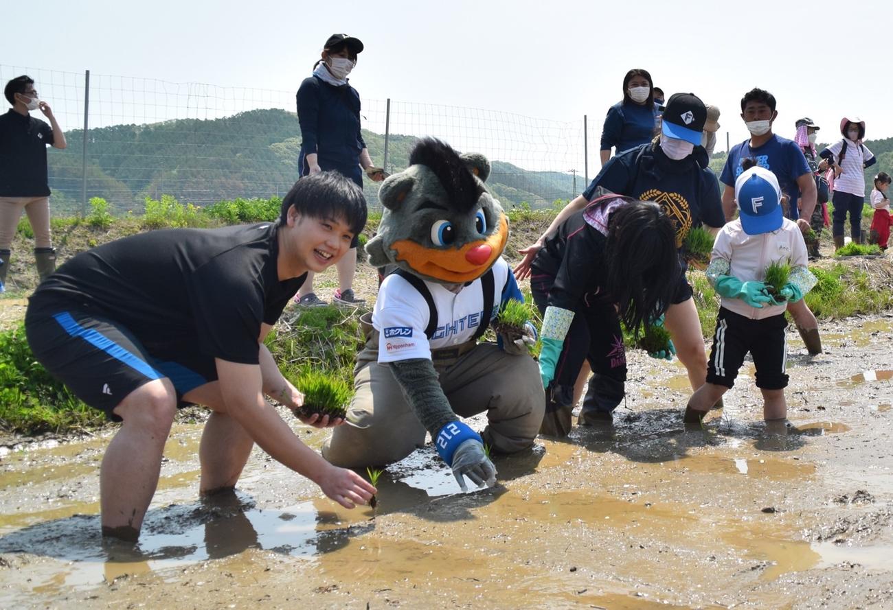 「ふぁい田！ATSUMAプロジェクト」に参加した日本ハムOBで球団職員の谷口氏（左）と球団マスコットのB☆B（球団提供）
