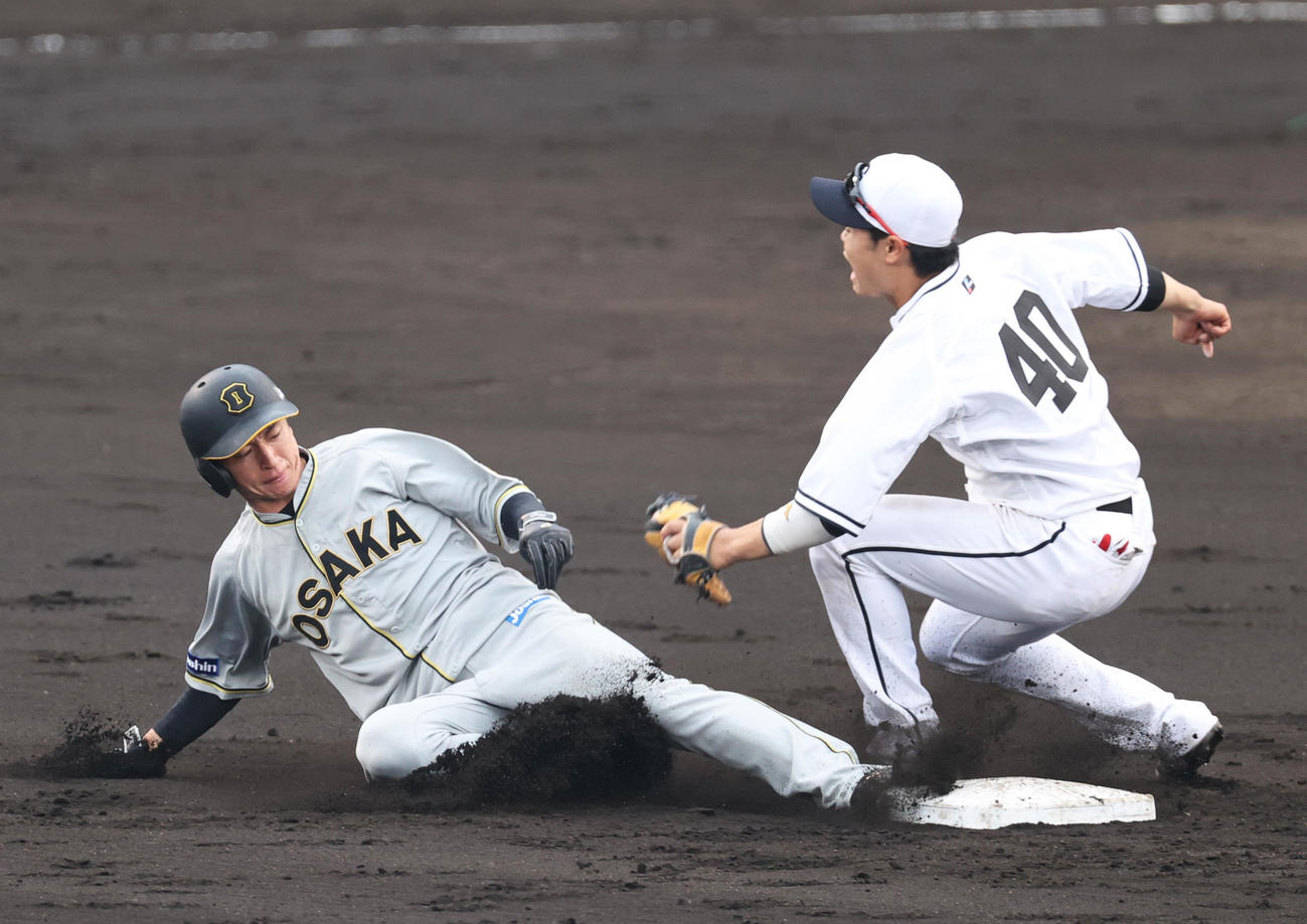 阪神対巨人　7回裏阪神2死一塁、打者中野の時、二盗を決める近本。右は遊撃手中山（撮影・上山淳一）
