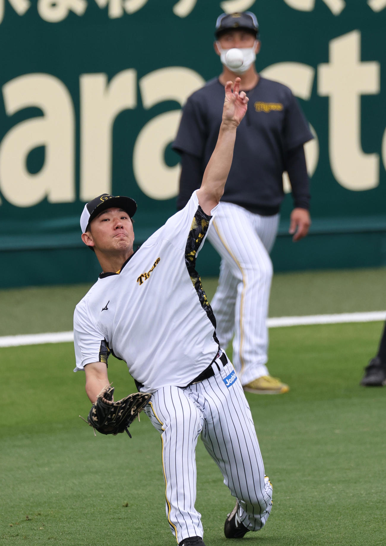 阪神対巨人　21日の試合前の練習でキャッチボールする阪神伊藤将（撮影・上山淳一）