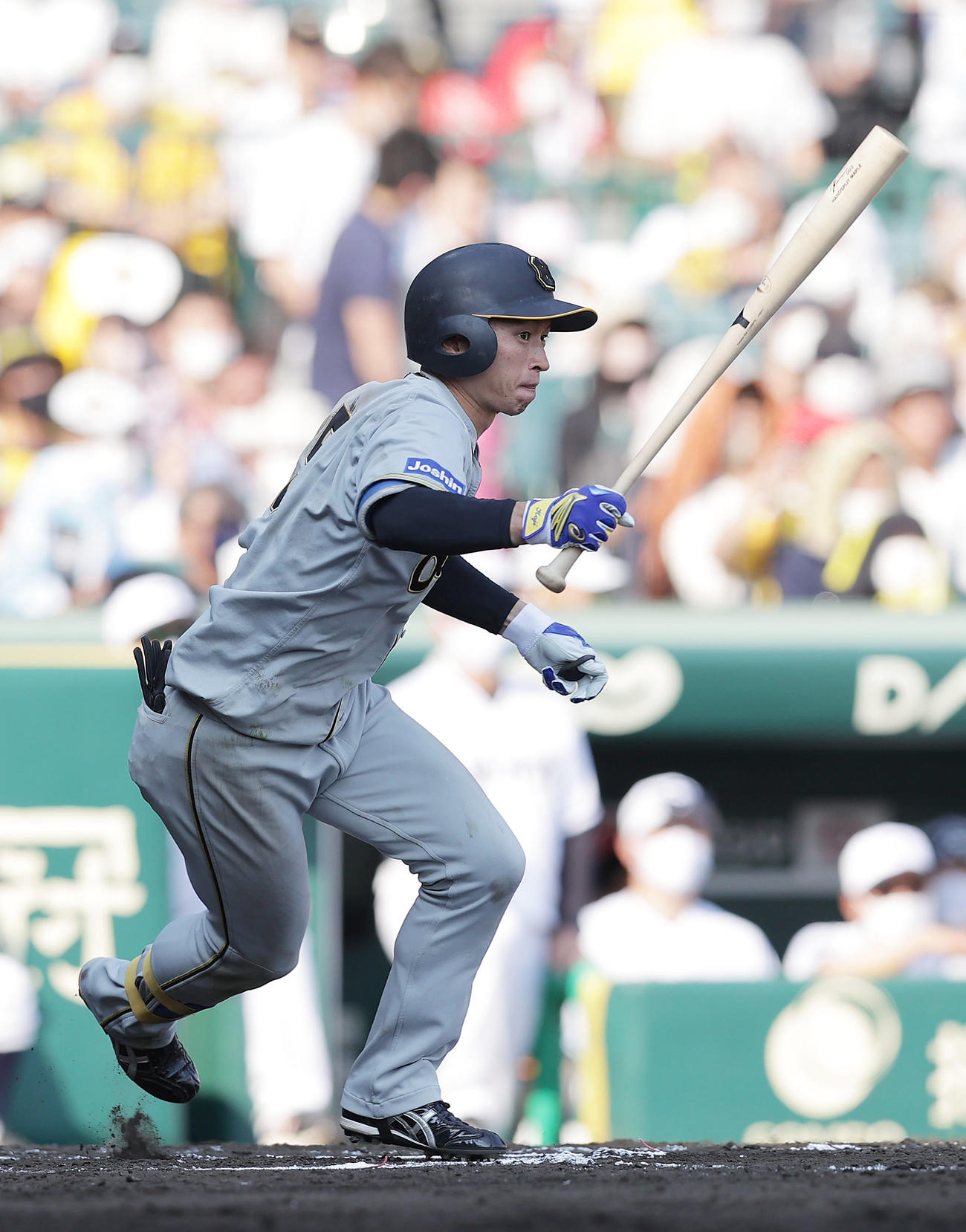 阪神対巨人　7回裏阪神無死、右前打を放つ近本（撮影・前田充）