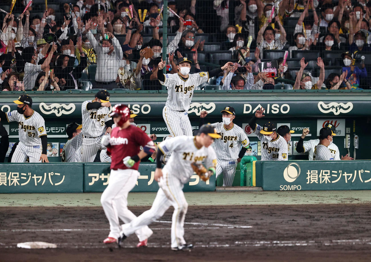 阪神対楽天　9回表楽天2死一、三塁、浅村の二ゴロで勝利しベンチで喜ぶ阪神ナインたち（撮影・加藤哉）
