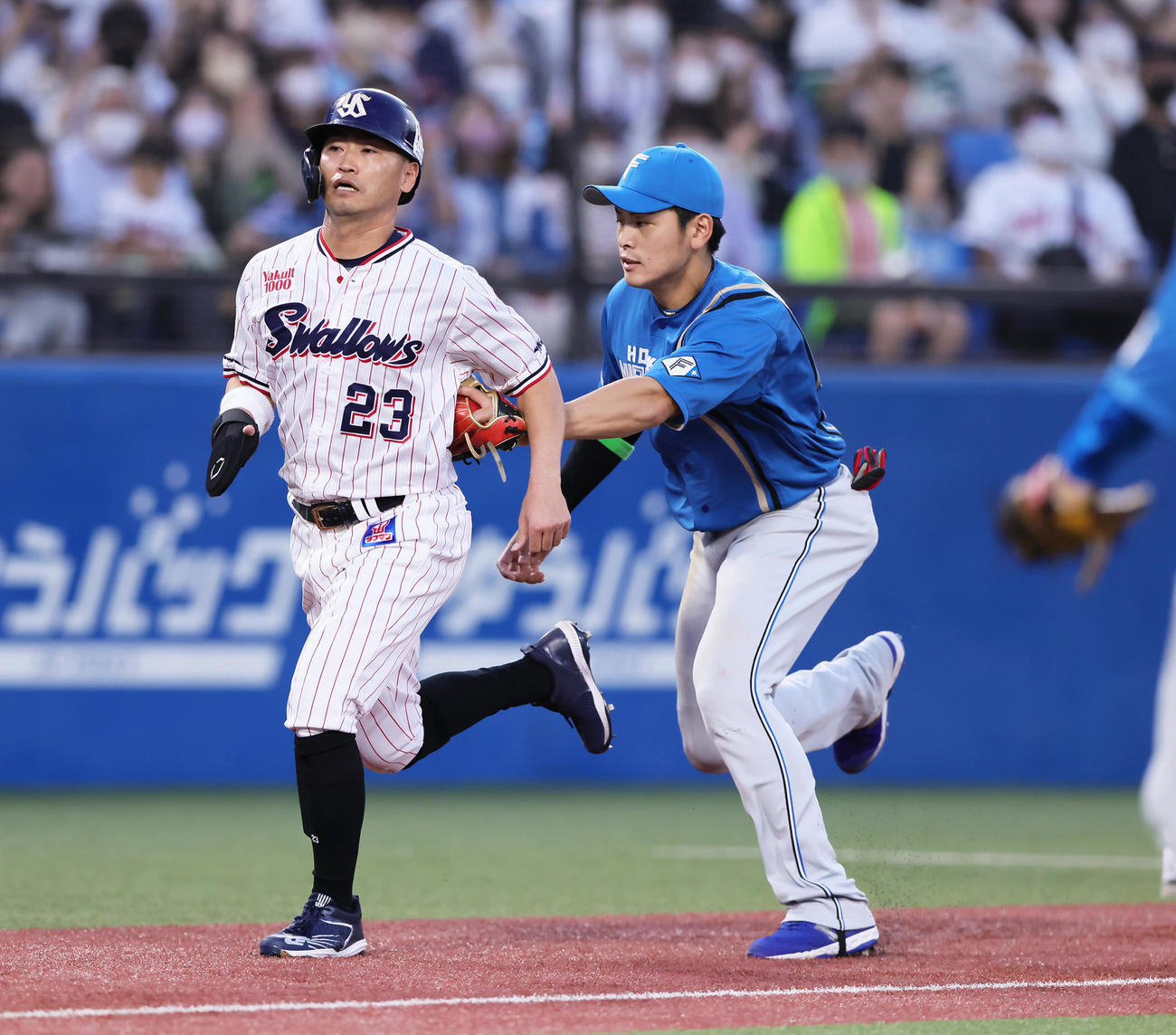 ヤクルト対日本ハム　2回裏ヤクルト2死一、二塁、長岡の内野安打で本塁を狙うも挟まれアウトとなる二塁走者青木（左）。三塁手野村（撮影・足立雅史）