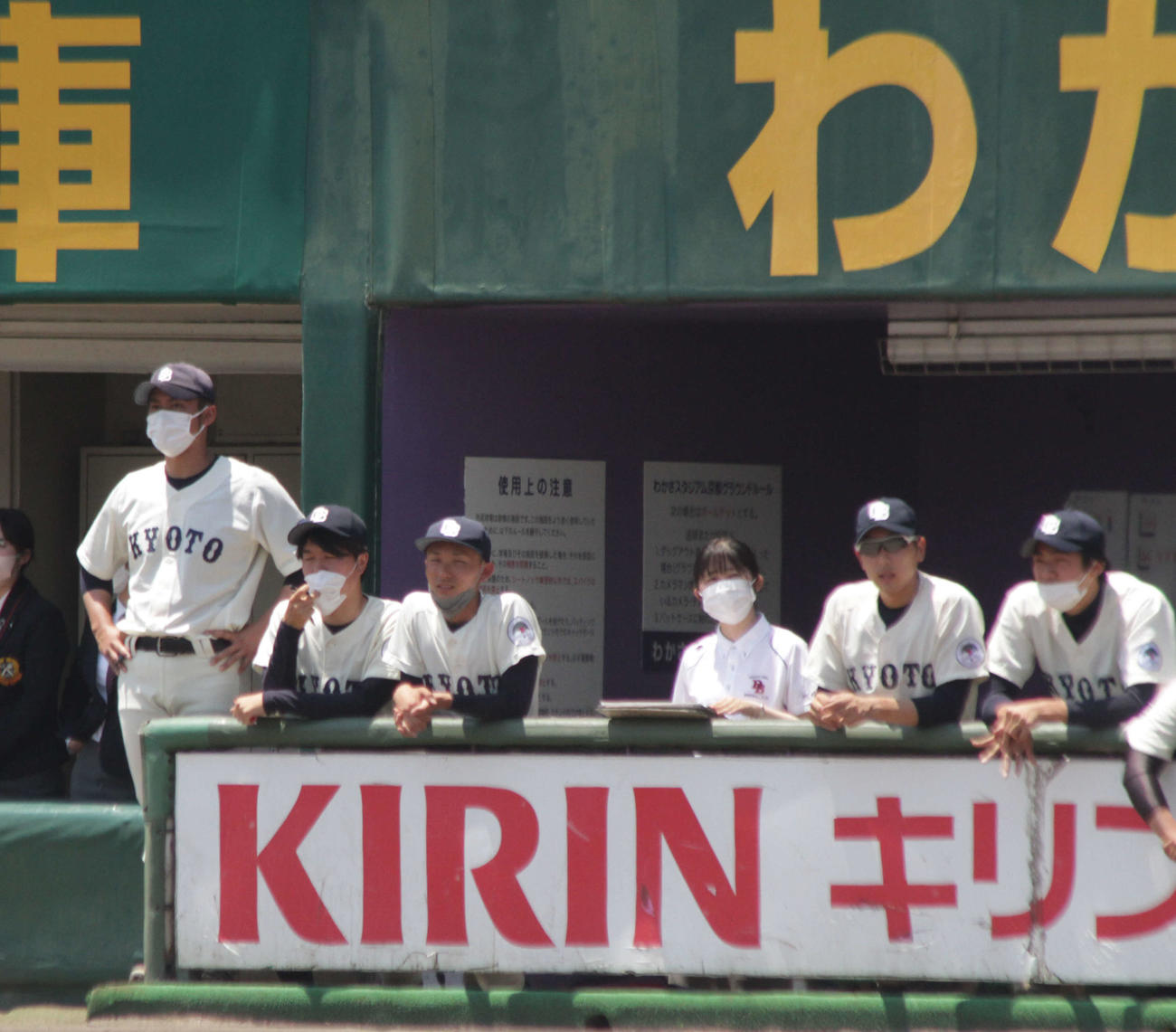 ベンチから戦況を見守る京大・近田怜王監督（左端）（関西学生野球連盟提供）