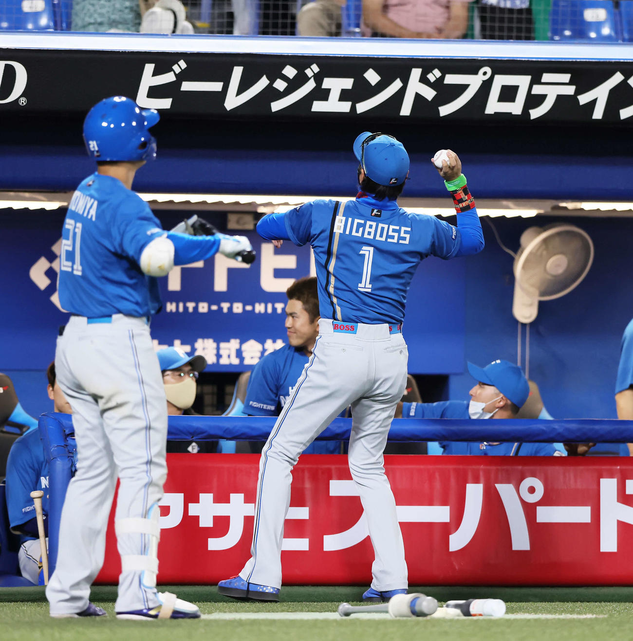 ヤクルト対日本ハム　10回表日本ハム無死一塁、上川畑のプロ初安打の記念球を受け取りスタンドに投げるそぶりを見せる新庄監督（撮影・足立雅史）
