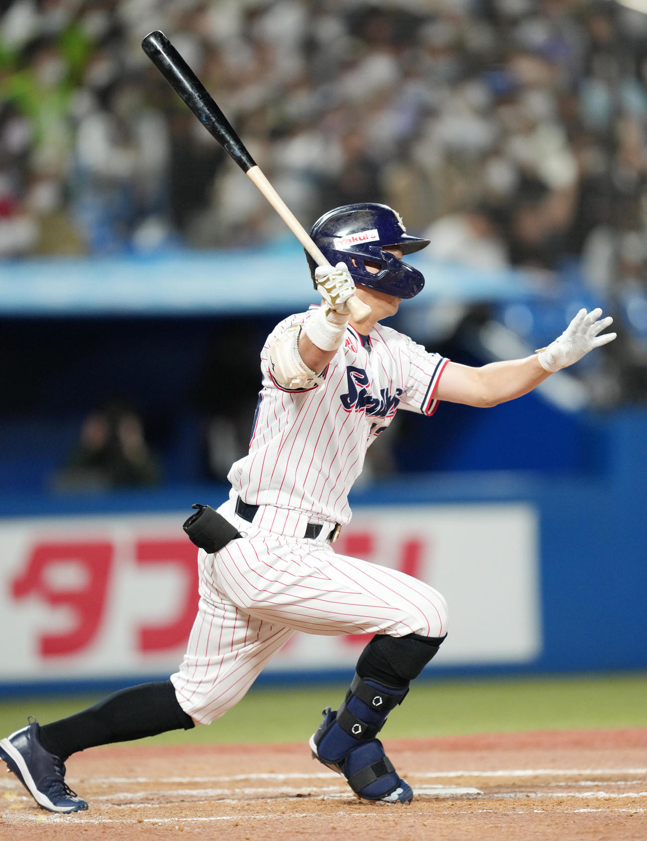 ヤクルト対日本ハム　8回裏ヤクルト2死三塁、同点の中適時打を放つ青木（撮影・菅敏）