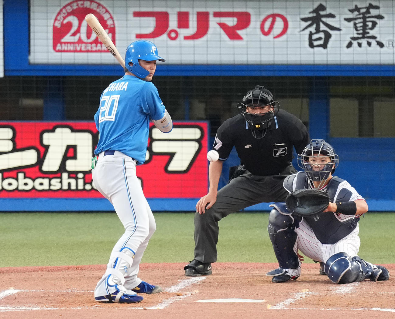 2回表日本ハム2死、見逃しの三振に倒れる上原（撮影・菅敏）