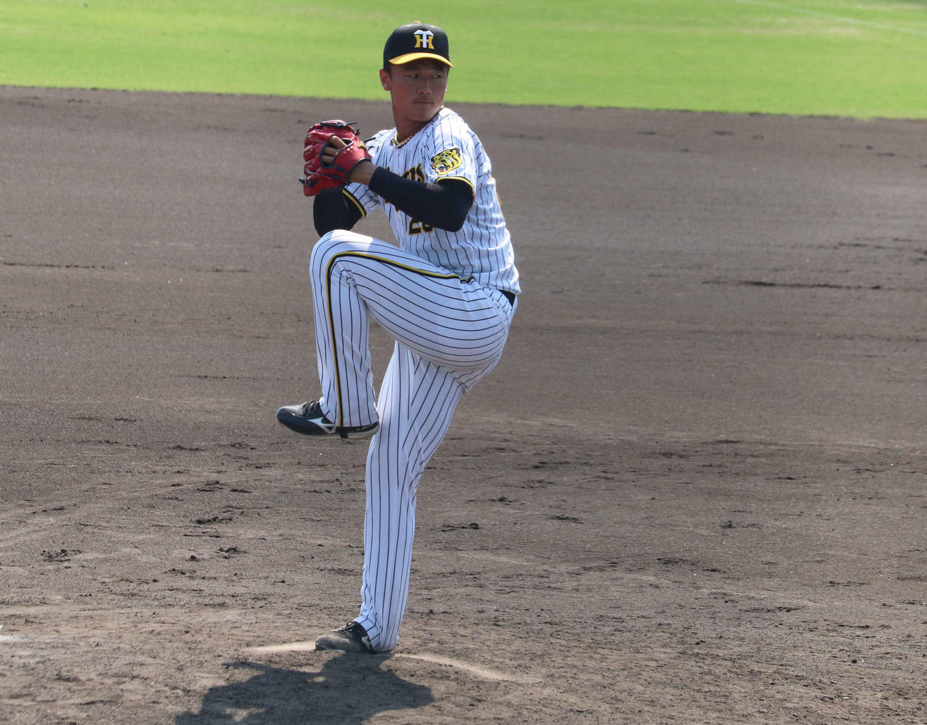 先発登板した阪神森木（撮影・三宅ひとみ）