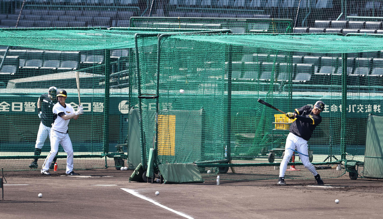 阪神対楽天　早出特打する阪神糸井（右）、中野ら（撮影・加藤哉）