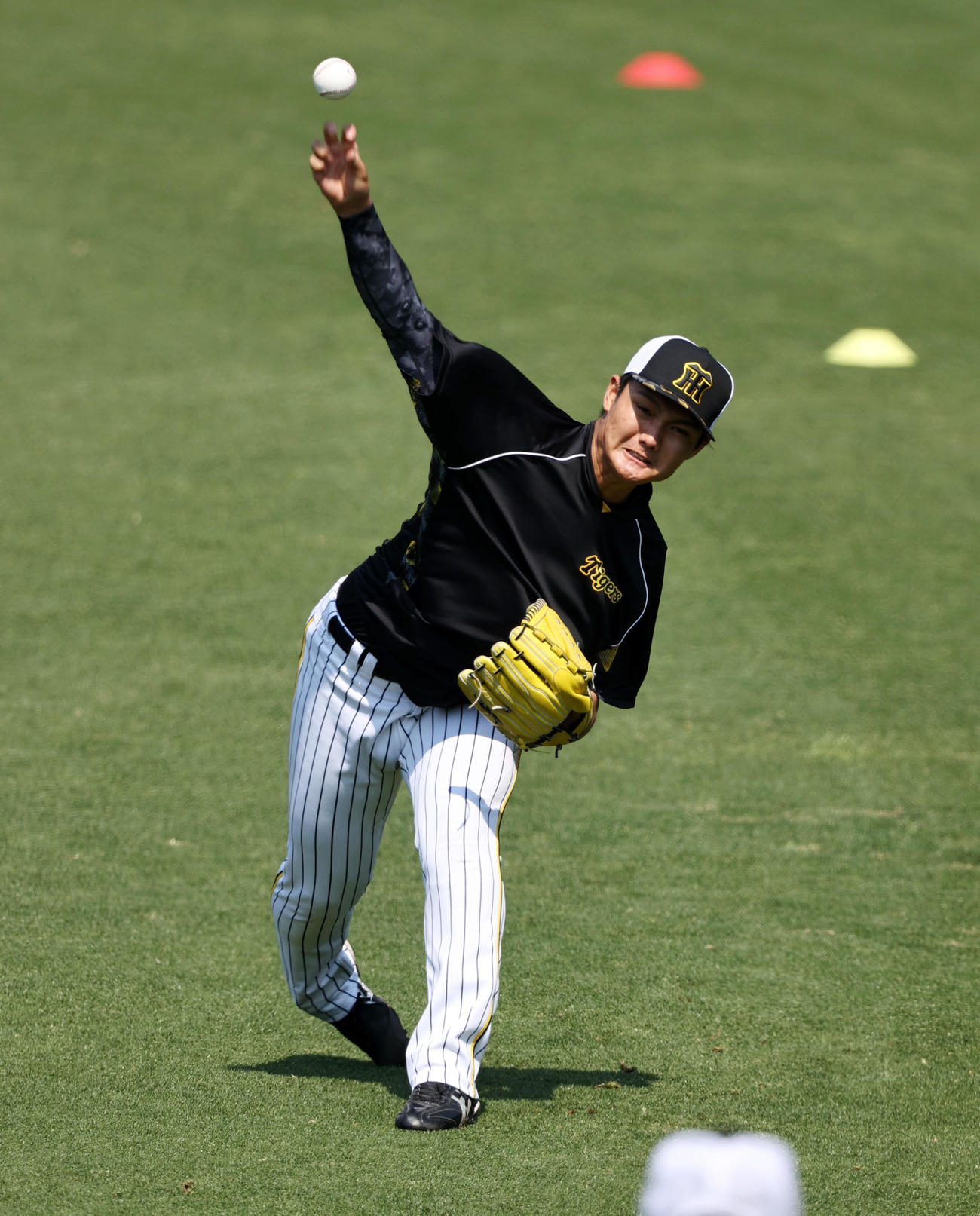 阪神対楽天　キャッチボールする西純（撮影・加藤哉）