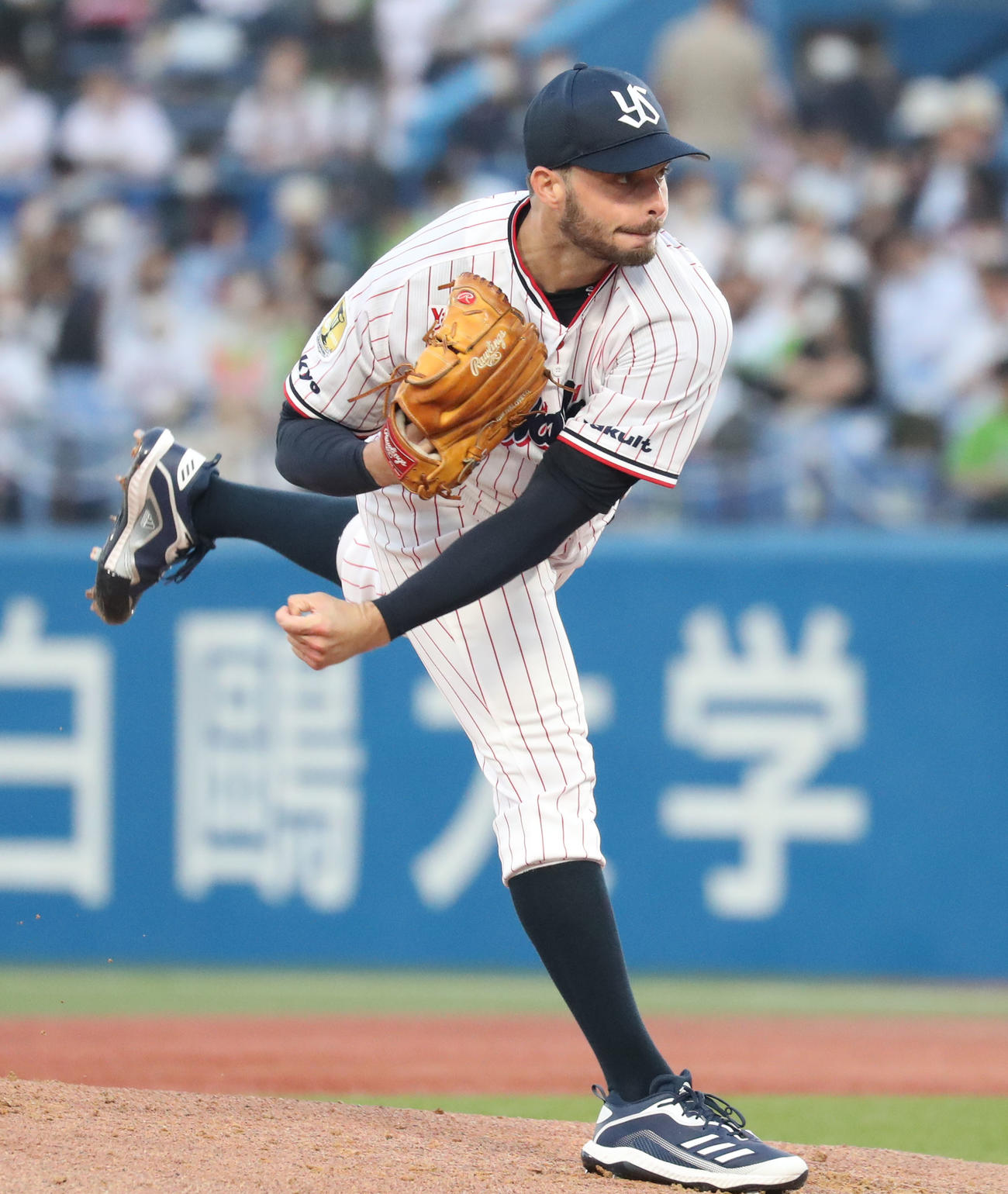 ヤクルト対日本ハム　ヤクルト先発のスアレス（撮影・佐藤翔太）