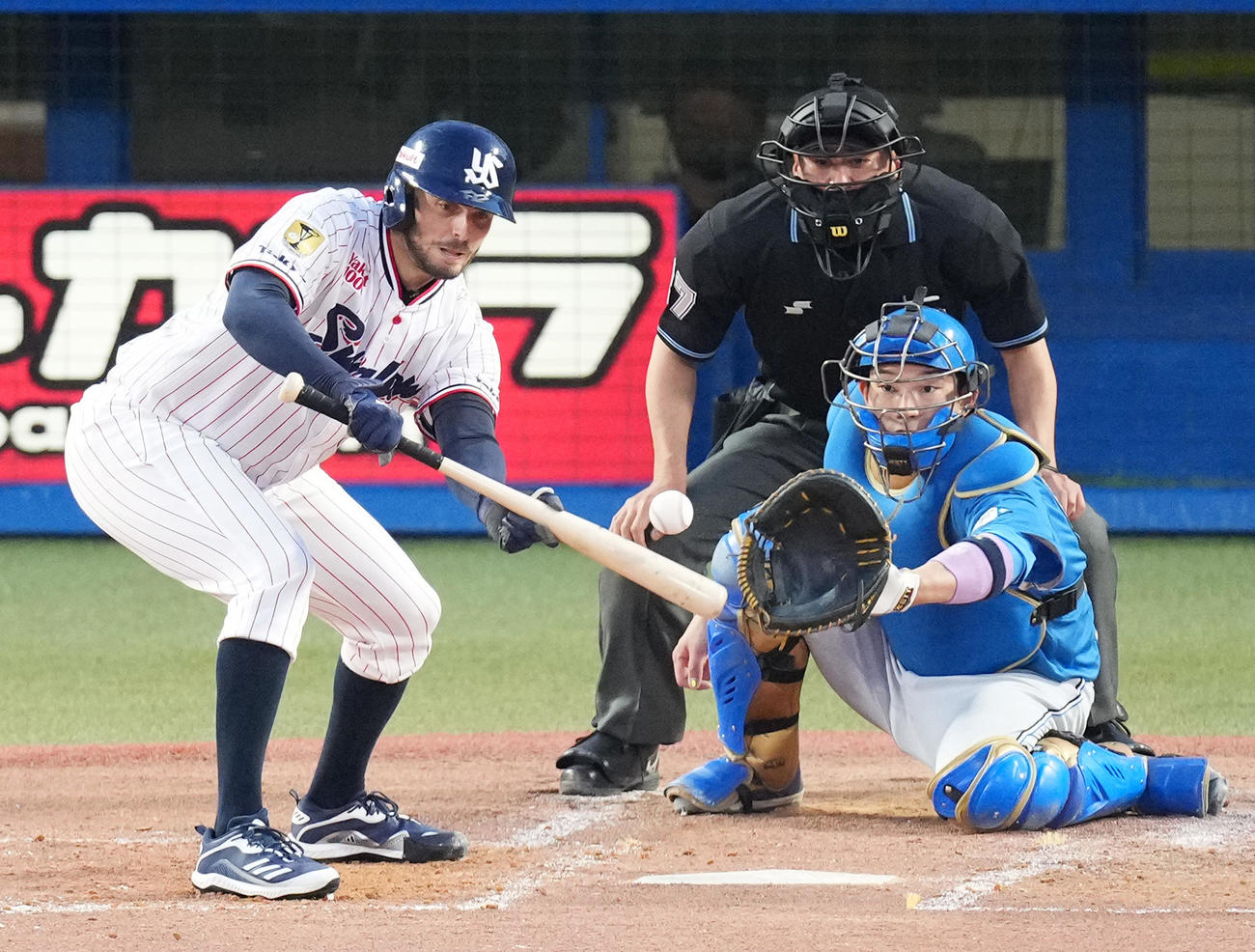 ヤクルト対日本ハム　3回裏ヤクルト1死一塁、送りバントを成功させるスアレス（撮影・菅敏）
