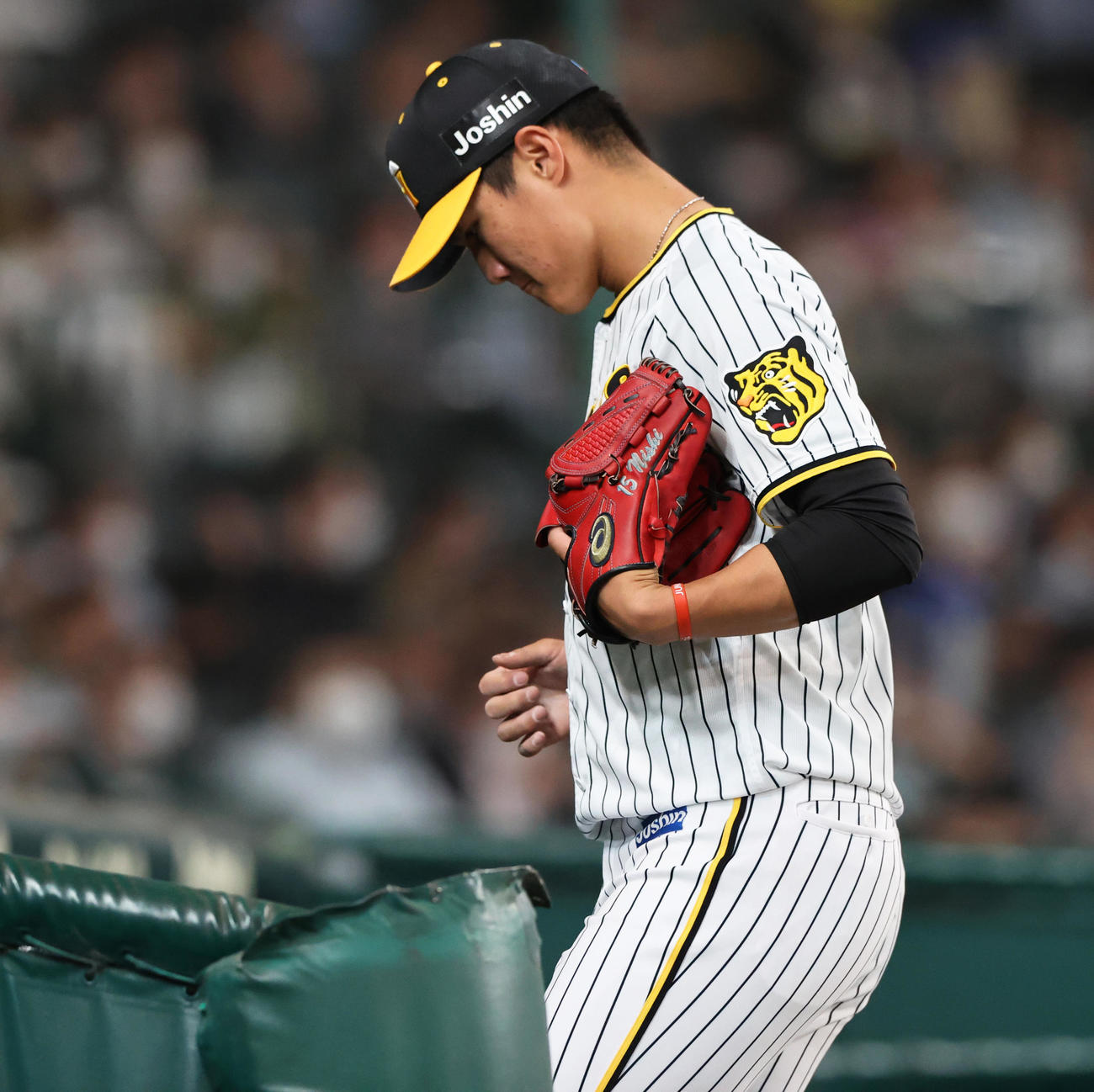 阪神対楽天　5回を投げ終えベンチへ引き揚げる阪神西純（撮影・上山淳一）