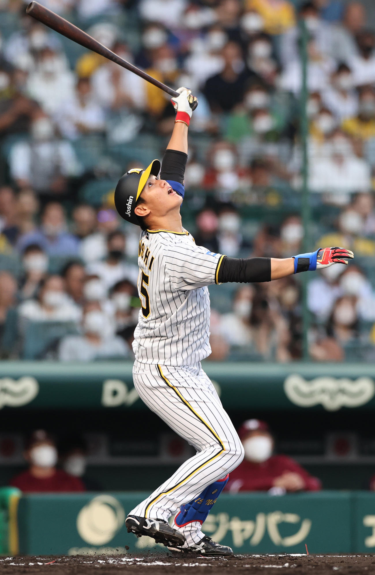 阪神対楽天　2回裏阪神2死、西純は一邪飛に倒れる（撮影・上山淳一）
