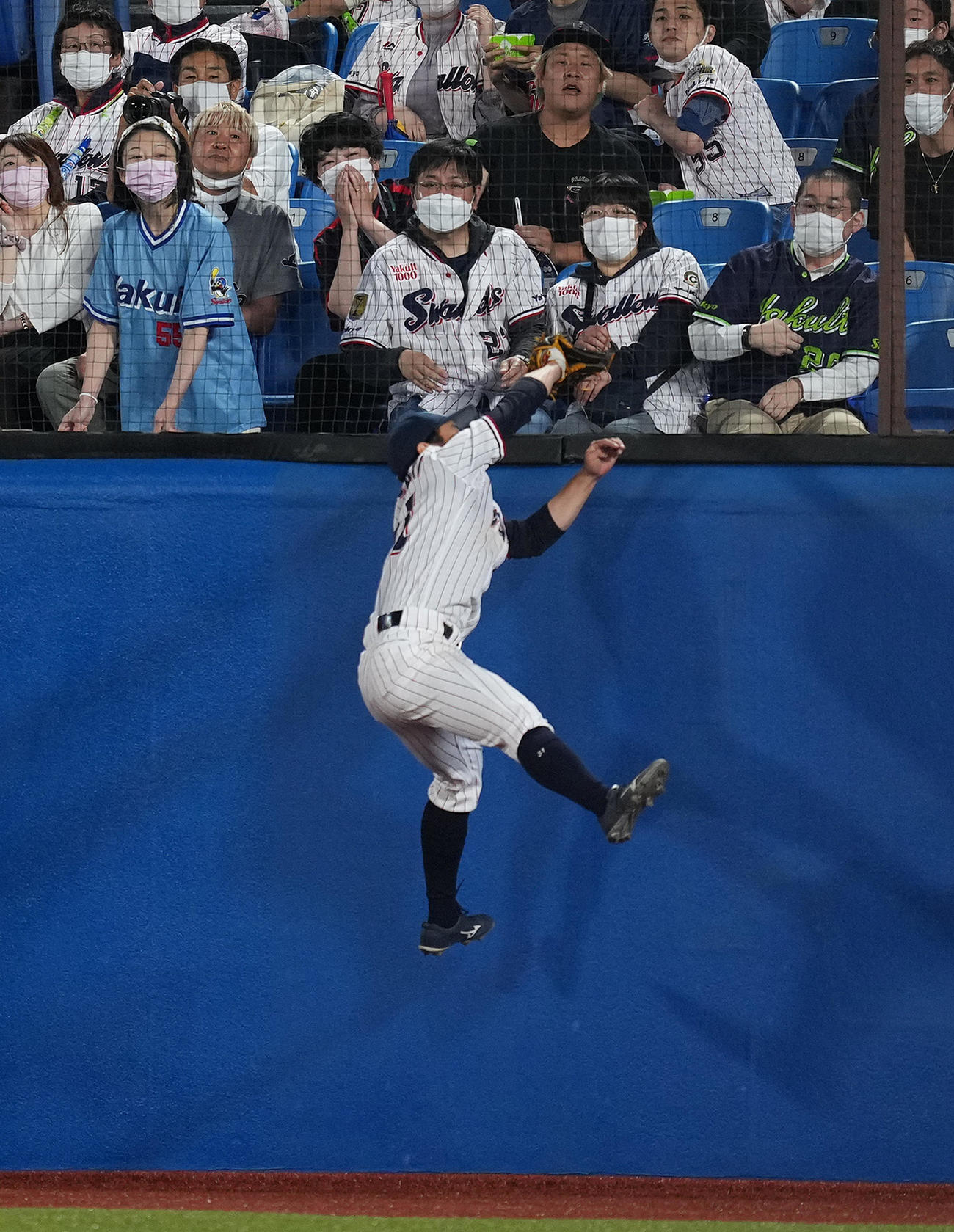 ヤクルト対日本ハム　4回表日本ハム1死一塁、アルカンタラの右飛を好捕する山崎（撮影・菅敏）